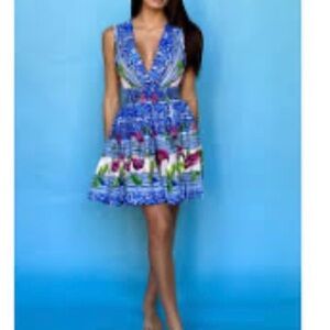 Blue Floral V-Neck Mini Dress